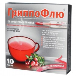 ГриппоФлю от простуды и гриппа пор. д/р-ра д/приема внутрь 13 г 10 шт.